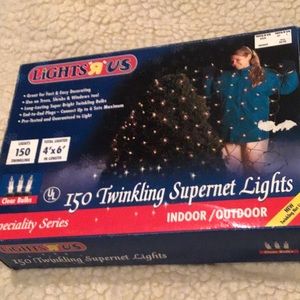 Indoor/outdoor Christmas twinkling supernet lights